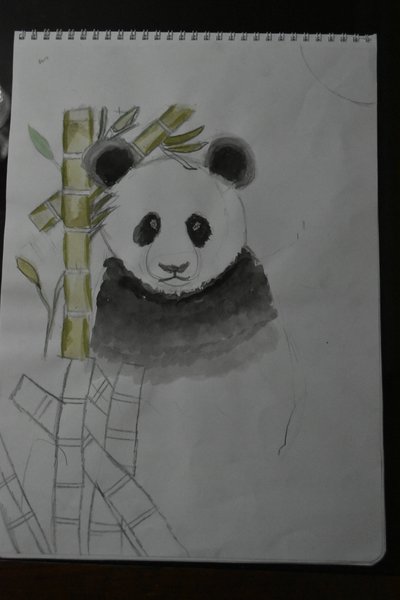Bambuların Arasındaki Panda